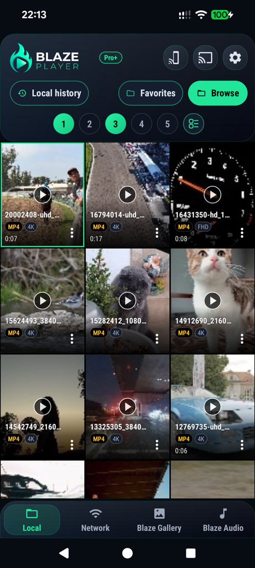 Capture d'écran de l'application Blaze Player